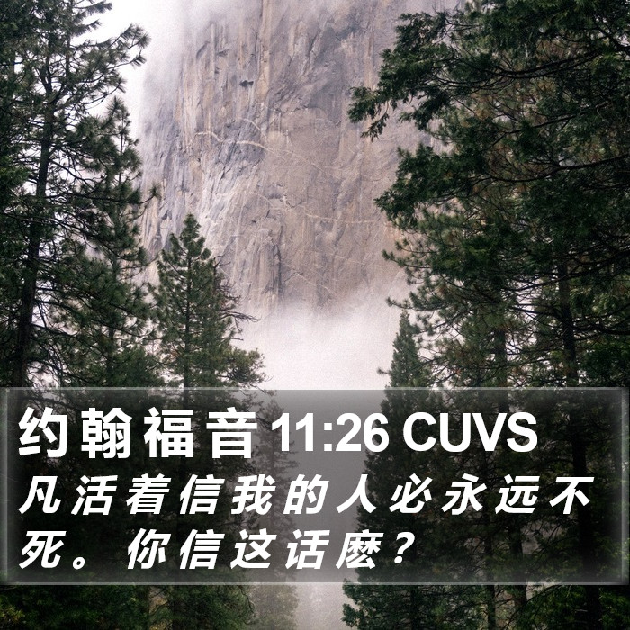 约 翰 福 音 11:26 CUVS Bible Study