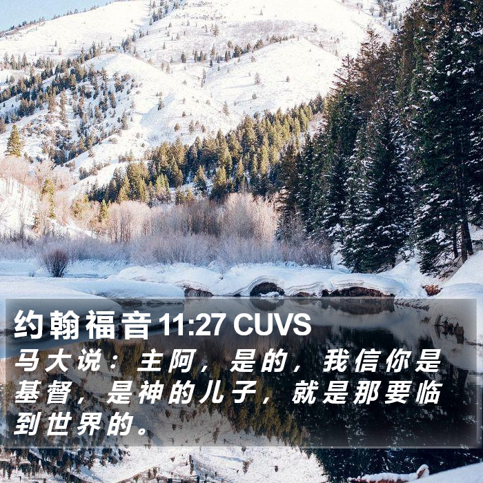 约 翰 福 音 11:27 CUVS Bible Study