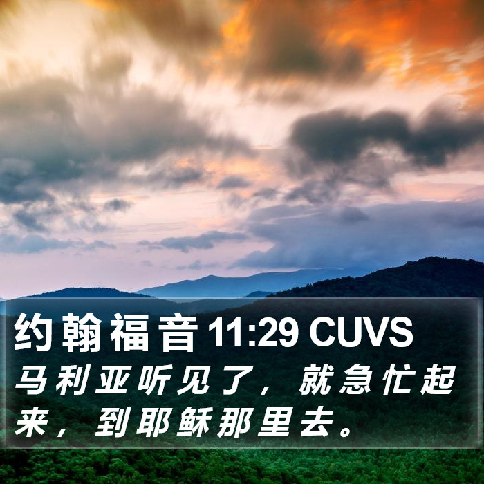 约 翰 福 音 11:29 CUVS Bible Study