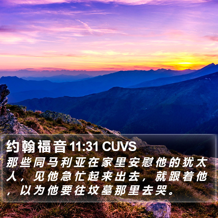 约 翰 福 音 11:31 CUVS Bible Study