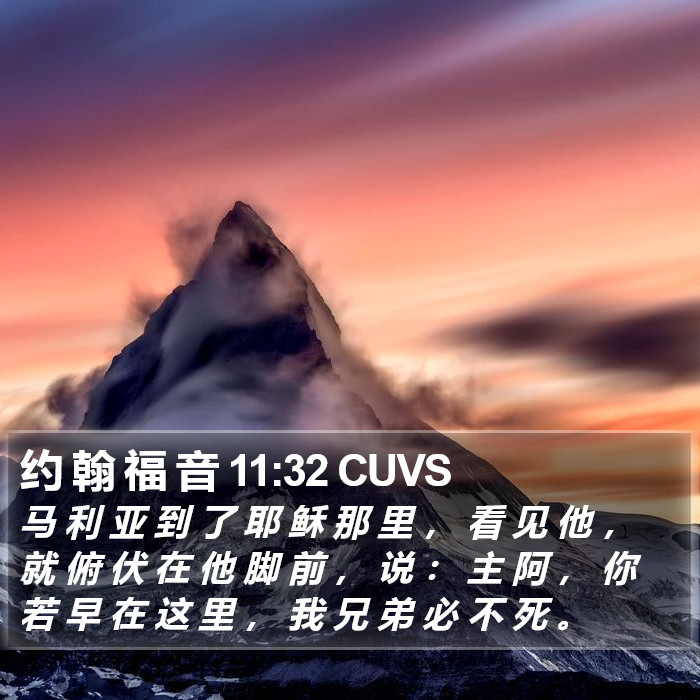 约 翰 福 音 11:32 CUVS Bible Study