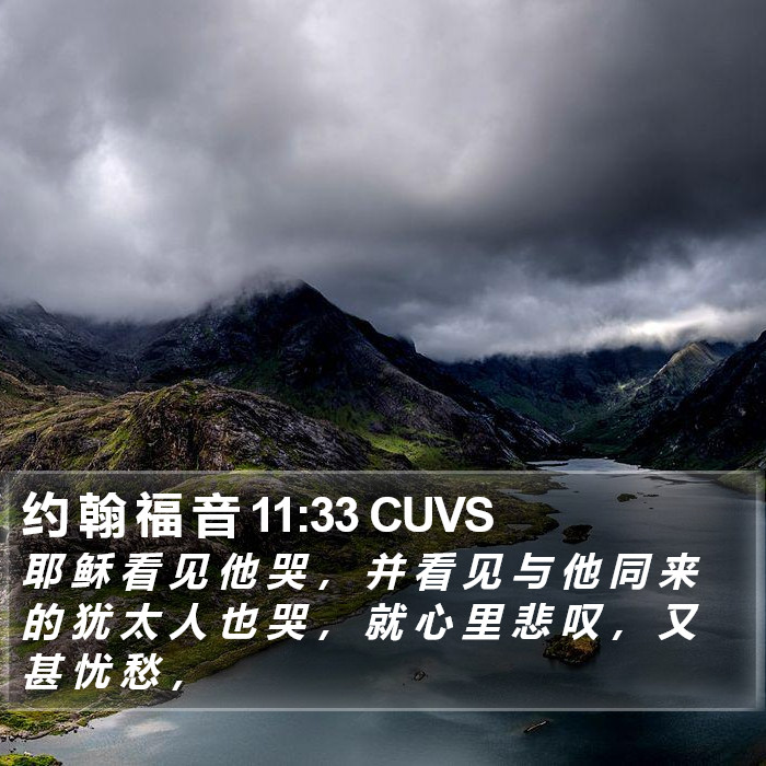 约 翰 福 音 11:33 CUVS Bible Study