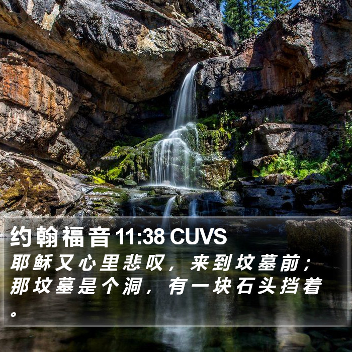 约 翰 福 音 11:38 CUVS Bible Study