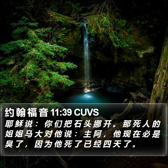 约 翰 福 音 11:39 CUVS Bible Study