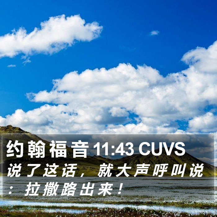 约 翰 福 音 11:43 CUVS Bible Study