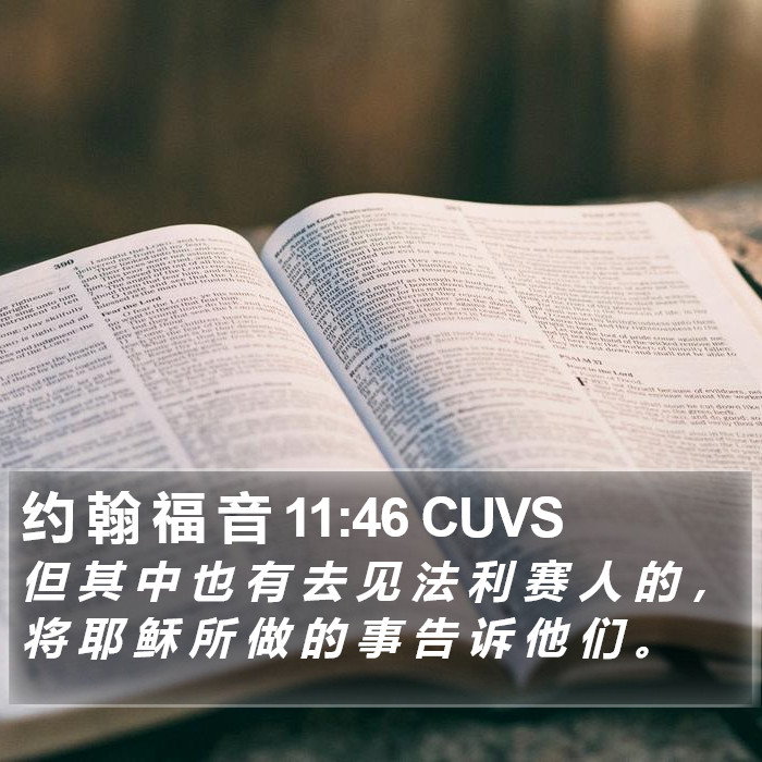 约 翰 福 音 11:46 CUVS Bible Study