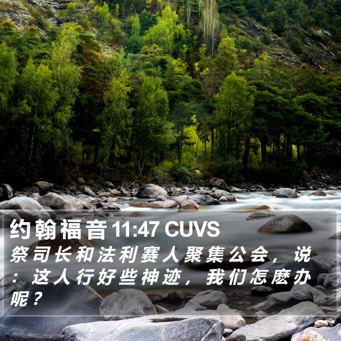 约 翰 福 音 11:47 CUVS Bible Study