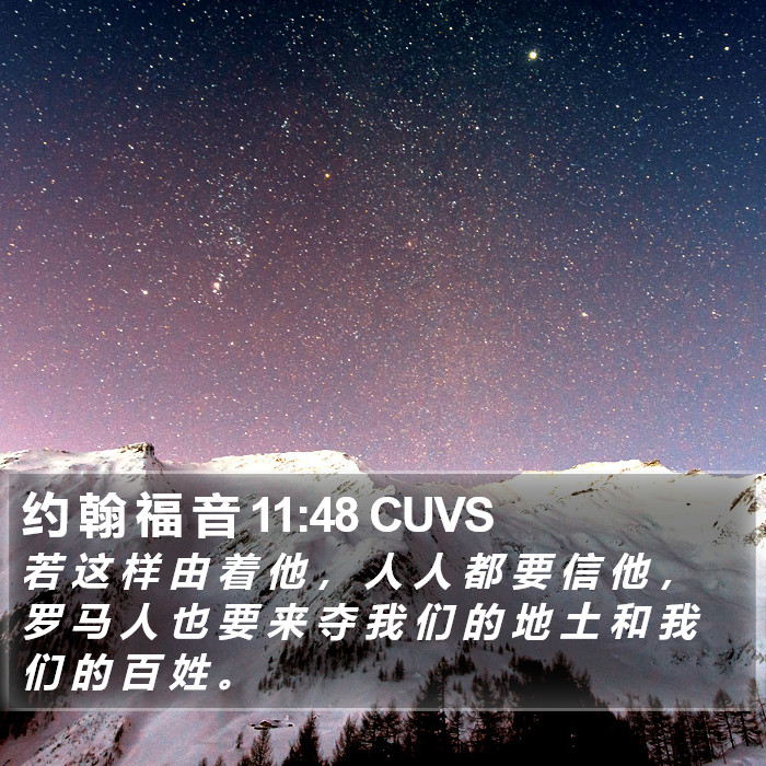 约 翰 福 音 11:48 CUVS Bible Study