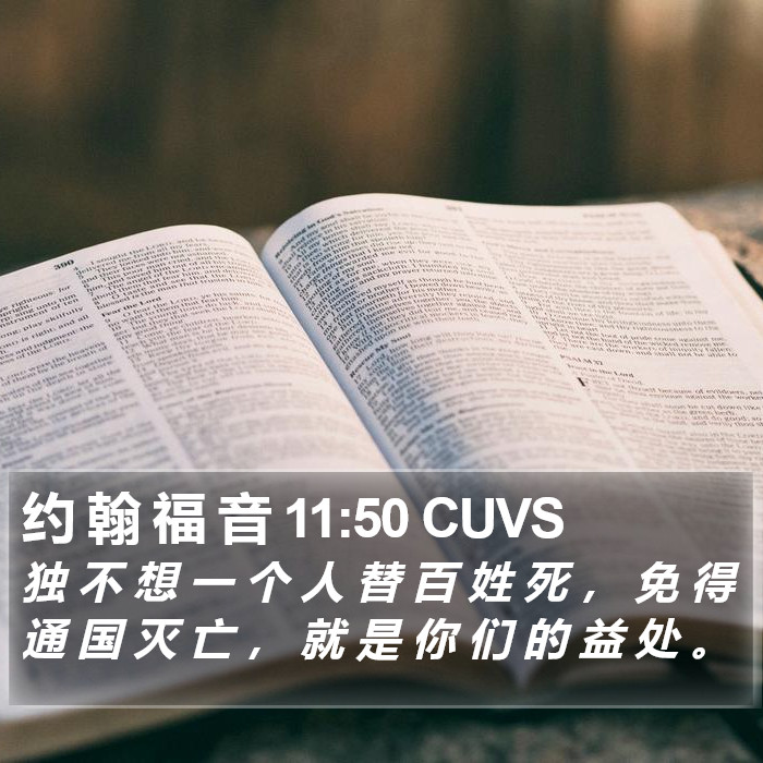 约 翰 福 音 11:50 CUVS Bible Study