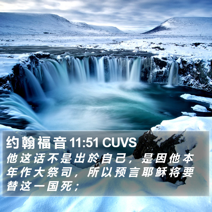 约 翰 福 音 11:51 CUVS Bible Study