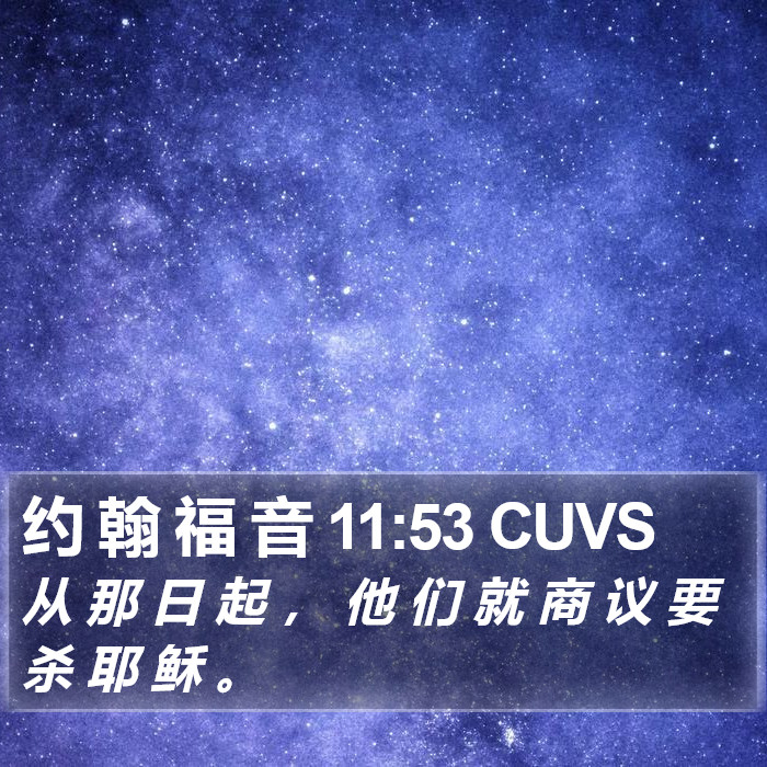 约 翰 福 音 11:53 CUVS Bible Study