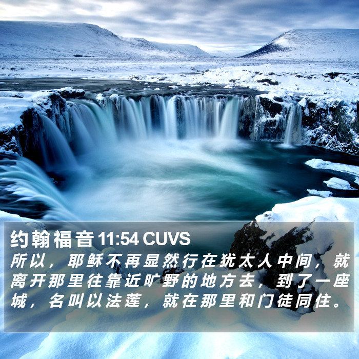 约 翰 福 音 11:54 CUVS Bible Study