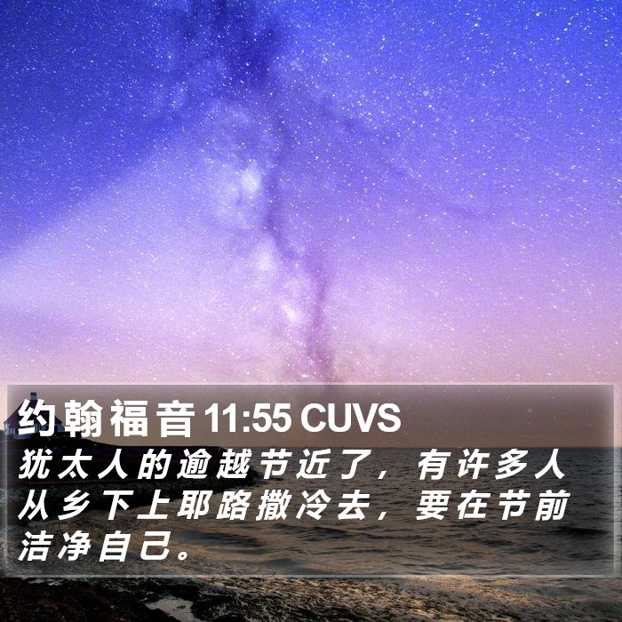 约 翰 福 音 11:55 CUVS Bible Study