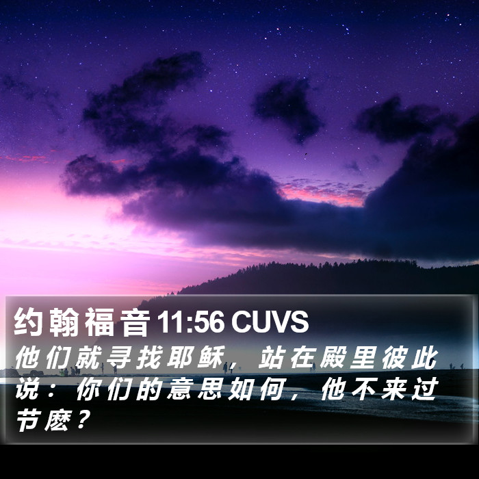 约 翰 福 音 11:56 CUVS Bible Study