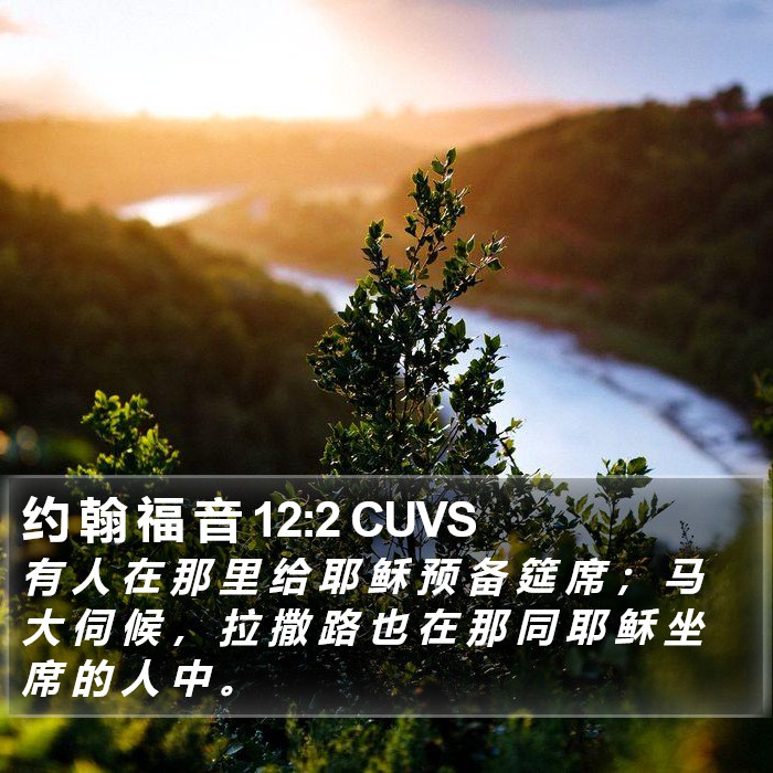 约 翰 福 音 12:2 CUVS Bible Study