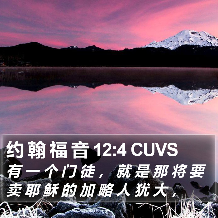 约 翰 福 音 12:4 CUVS Bible Study