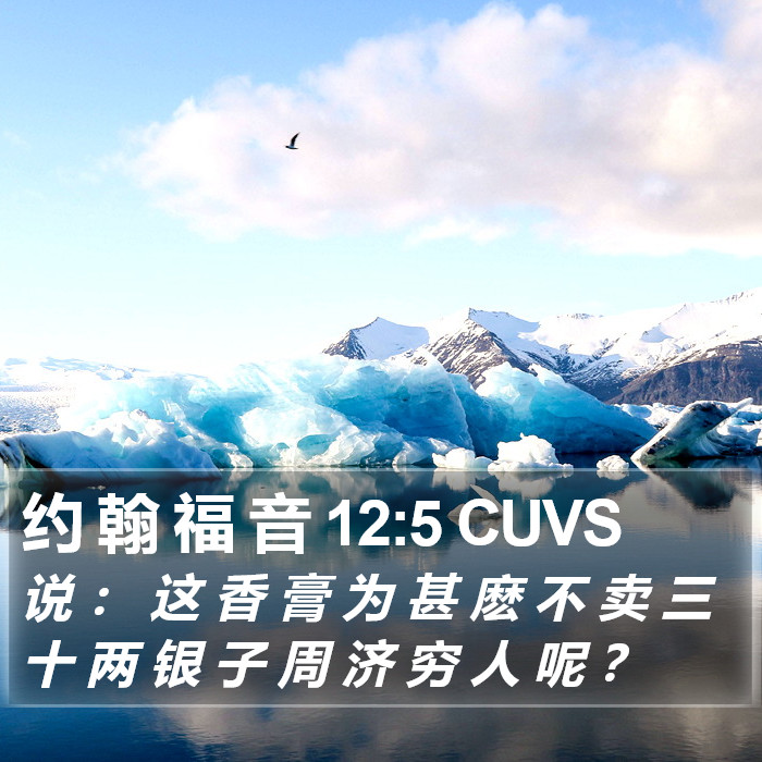 约 翰 福 音 12:5 CUVS Bible Study