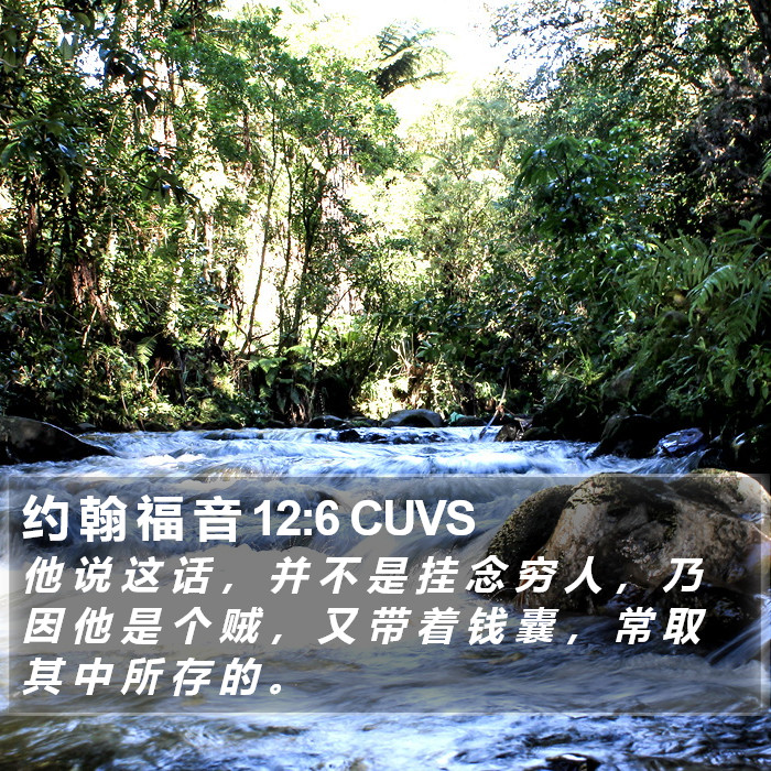 约 翰 福 音 12:6 CUVS Bible Study