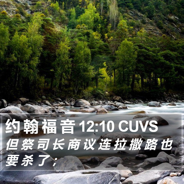 约 翰 福 音 12:10 CUVS Bible Study