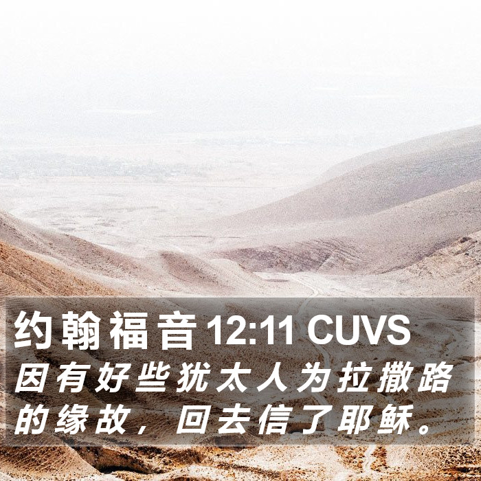 约 翰 福 音 12:11 CUVS Bible Study