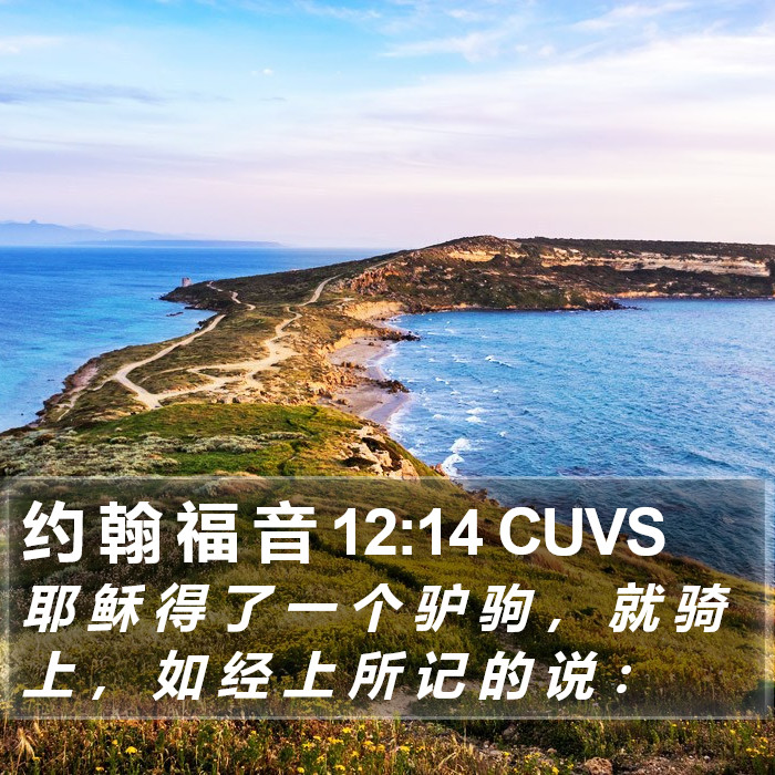 约 翰 福 音 12:14 CUVS Bible Study