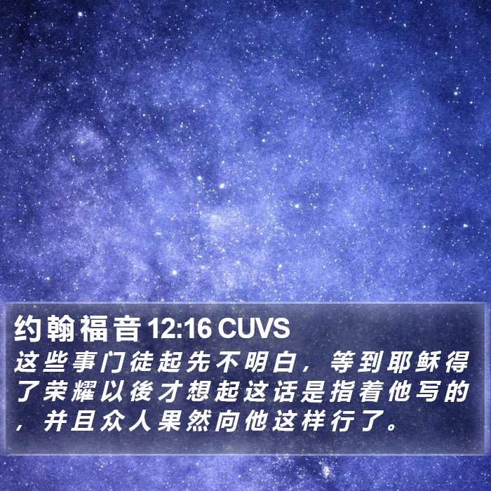 约 翰 福 音 12:16 CUVS Bible Study