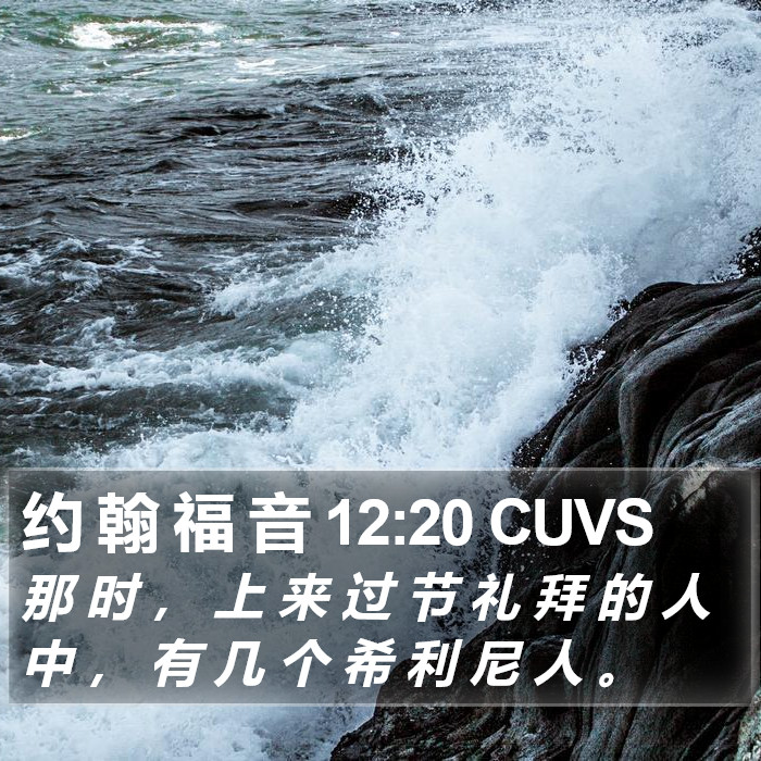 约 翰 福 音 12:20 CUVS Bible Study