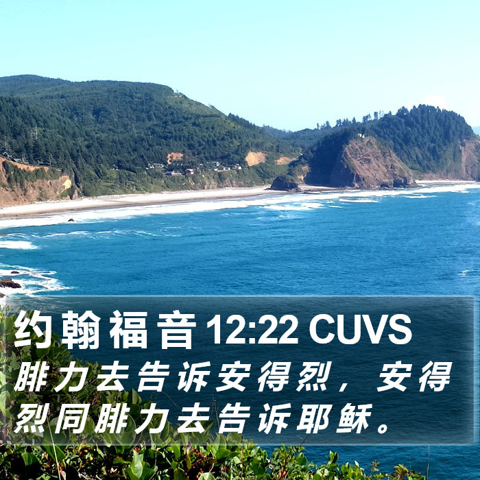 约 翰 福 音 12:22 CUVS Bible Study