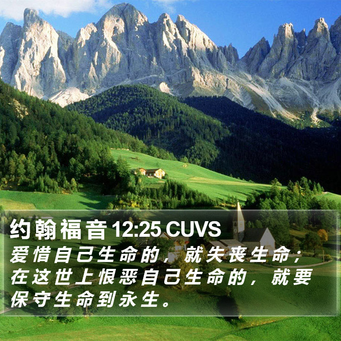 约 翰 福 音 12:25 CUVS Bible Study