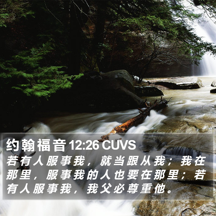 约 翰 福 音 12:26 CUVS Bible Study