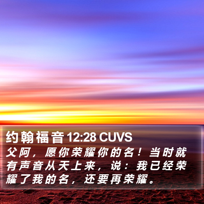 约 翰 福 音 12:28 CUVS Bible Study