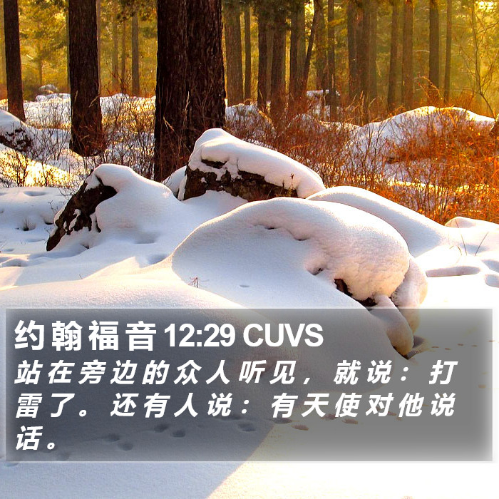 约 翰 福 音 12:29 CUVS Bible Study