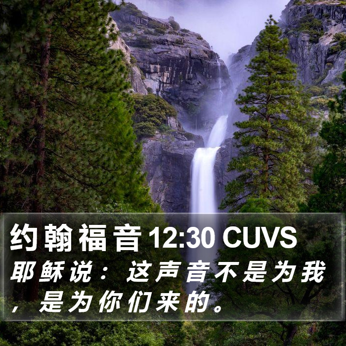 约 翰 福 音 12:30 CUVS Bible Study