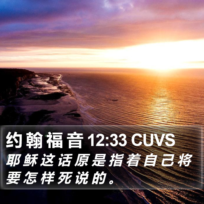 约 翰 福 音 12:33 CUVS Bible Study