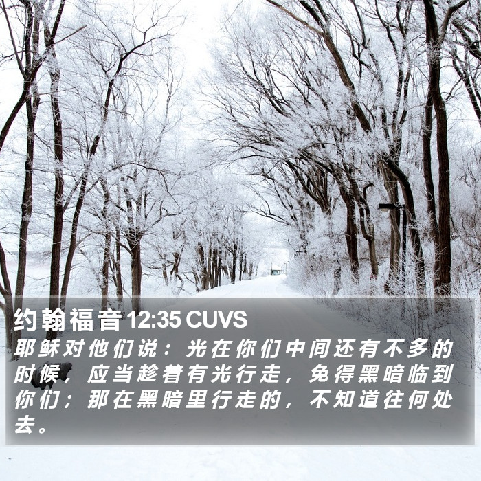 约 翰 福 音 12:35 CUVS Bible Study