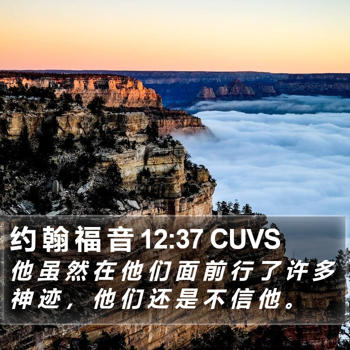 约 翰 福 音 12:37 CUVS Bible Study