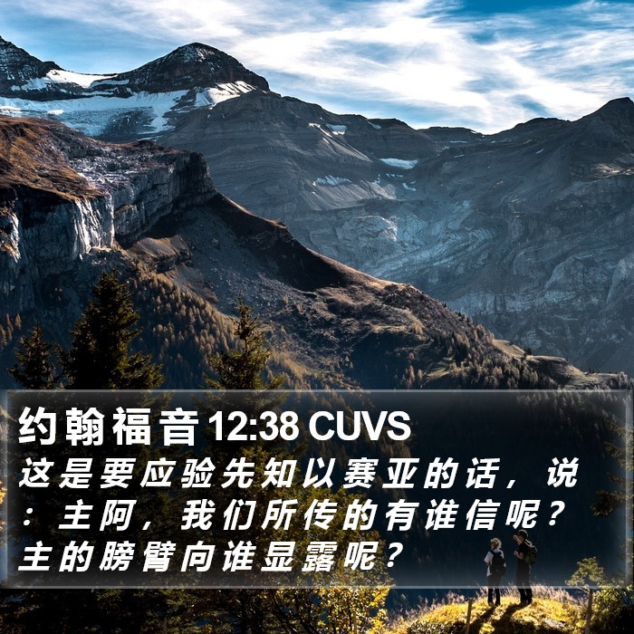 约 翰 福 音 12:38 CUVS Bible Study