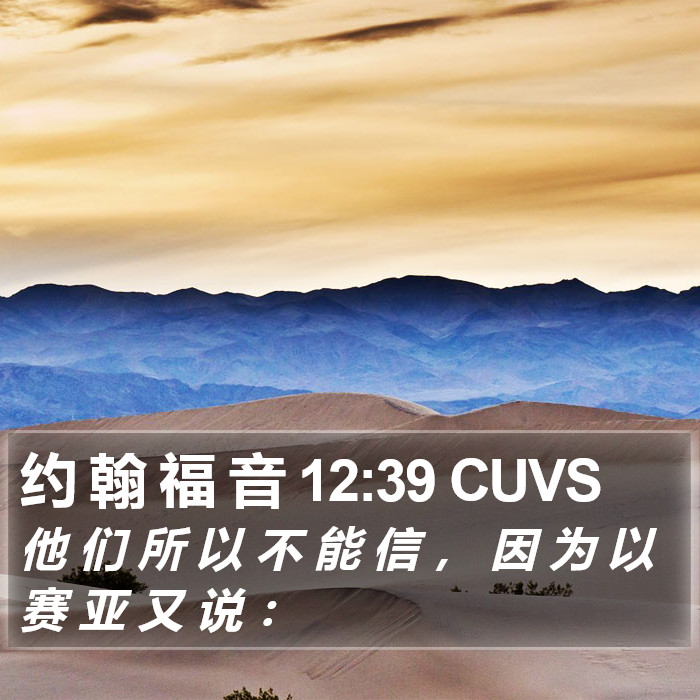 约 翰 福 音 12:39 CUVS Bible Study