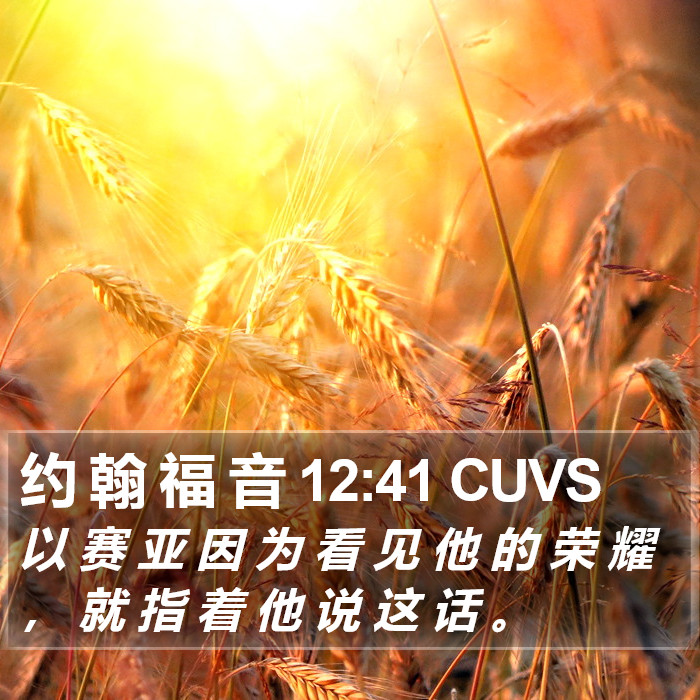 约 翰 福 音 12:41 CUVS Bible Study