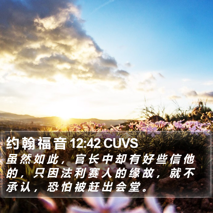 约 翰 福 音 12:42 CUVS Bible Study