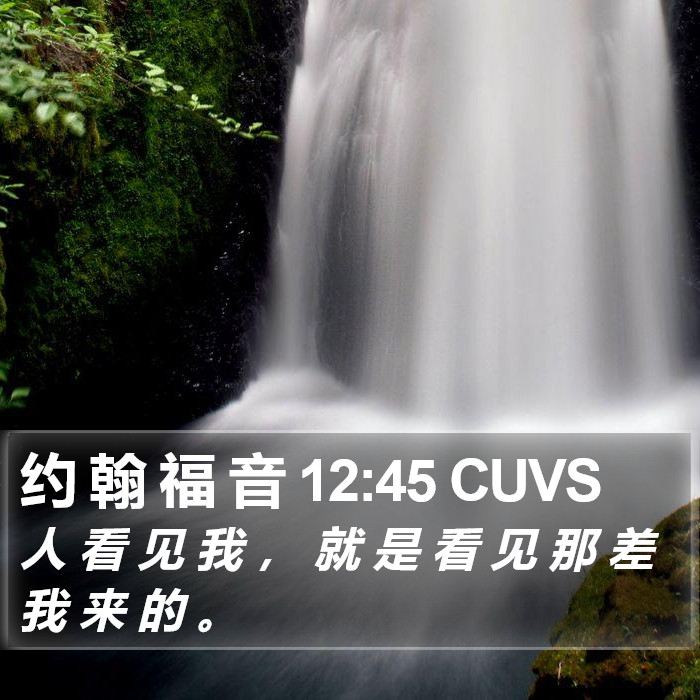 约 翰 福 音 12:45 CUVS Bible Study