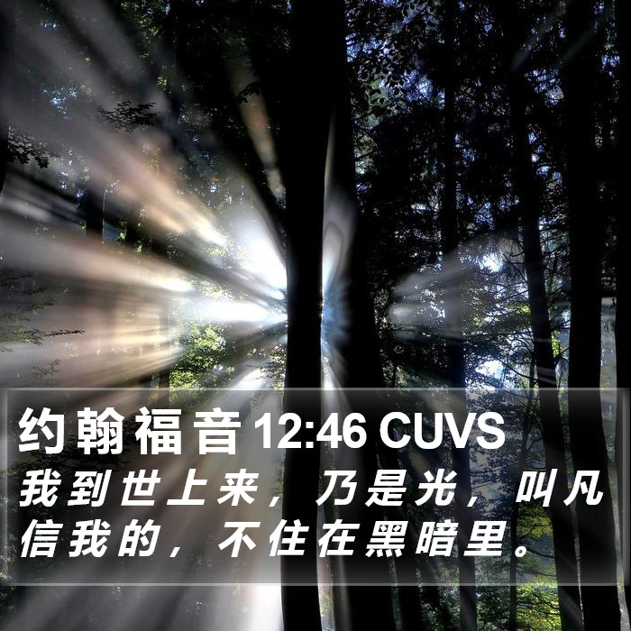 约 翰 福 音 12:46 CUVS Bible Study