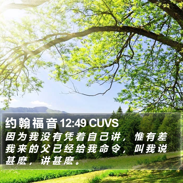 约 翰 福 音 12:49 CUVS Bible Study