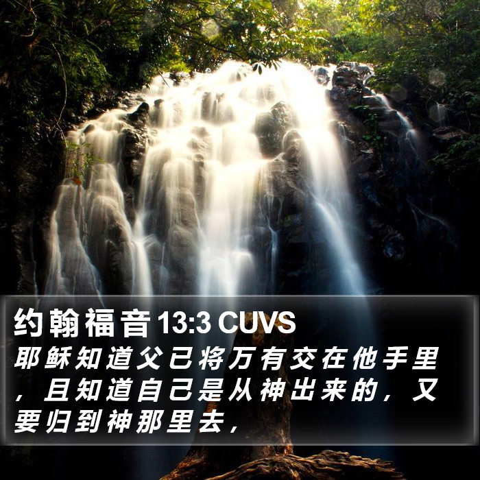 约 翰 福 音 13:3 CUVS Bible Study