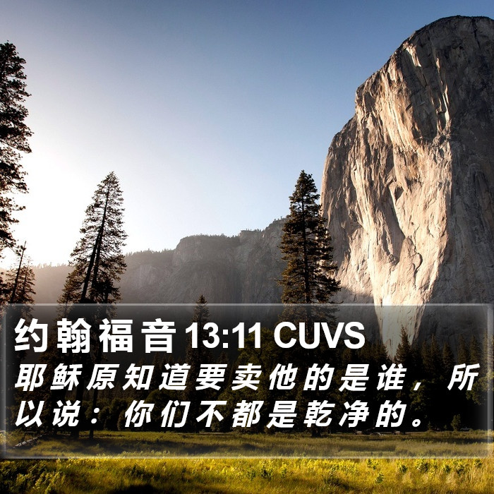 约 翰 福 音 13:11 CUVS Bible Study