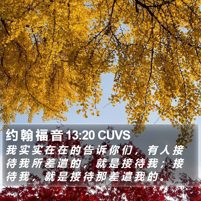 约 翰 福 音 13:20 CUVS Bible Study