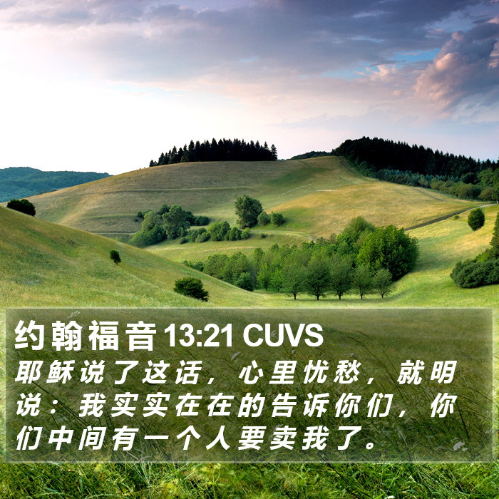 约 翰 福 音 13:21 CUVS Bible Study