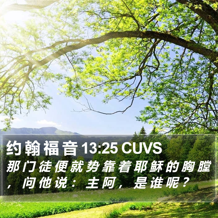 约 翰 福 音 13:25 CUVS Bible Study