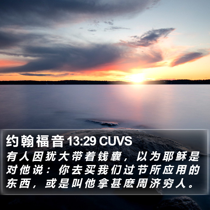 约 翰 福 音 13:29 CUVS Bible Study