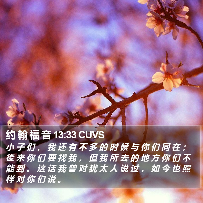 约 翰 福 音 13:33 CUVS Bible Study